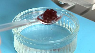 3D-printed raspberry