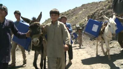 Child walks donkey loaded with election material