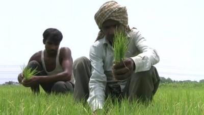 Farmers in Uttar Pradesh