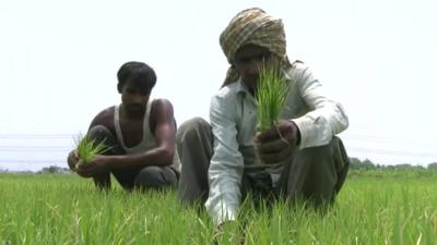 Farmers in Uttar Pradesh