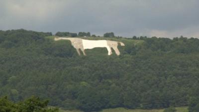 White horse