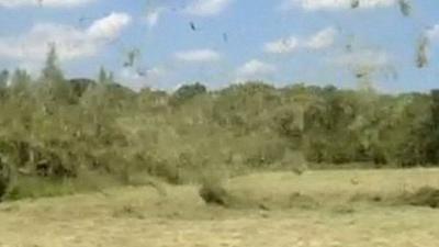 Dust devil near Bristol