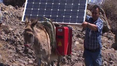 Donkey with solar panel