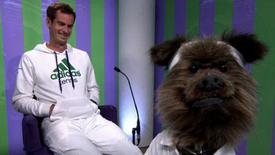 Wimbledon 2014: BBC's Hacker the Dog meets Andy Murray