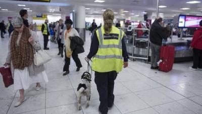 Border Force worker and sniffer dog