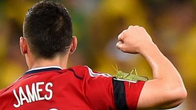 Giant bug hops on James Rodriguez after penalty