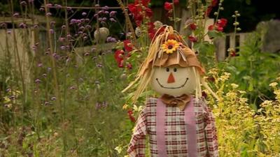 Scarecrow in allotment