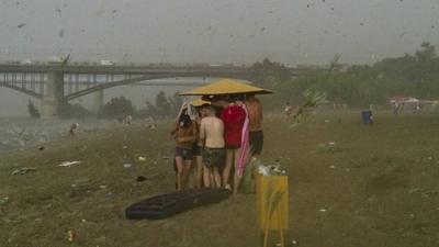 Sunbathers in halistorm