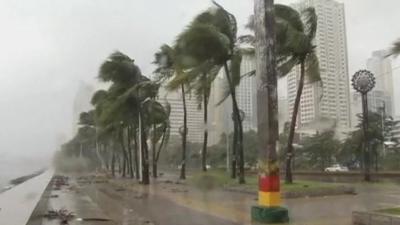 Wind-battered trees