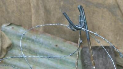 Barbed wire