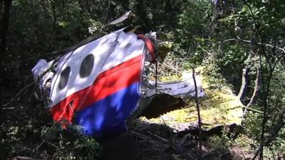 Malaysia Airlines plane wreckage