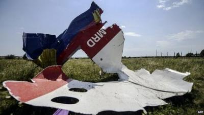 Debris from Flight MH17