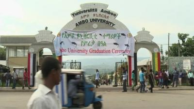 Ambo University