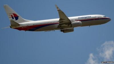 A Malaysia Airlines Boeing 737 plane