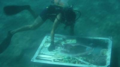 A diver working on one of the pictures