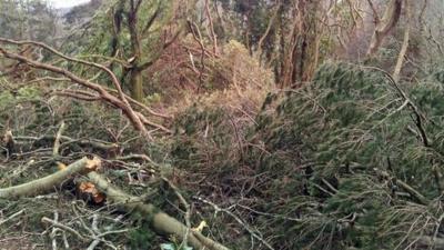 Storm damage at Plas Tan y Bwlch