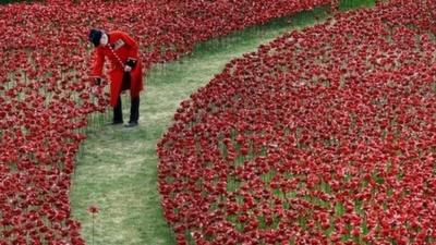 Poppies planted in the moat at the Tower of London