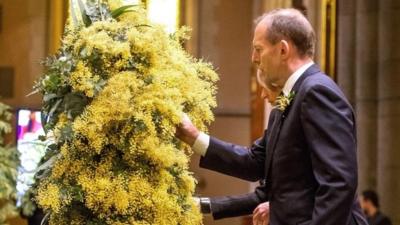 Australian Prime Minister Tony Abbott and wattle blossoms