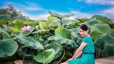 A young woman poses for the camera in a lotus garden in Hanoi, Vietnam