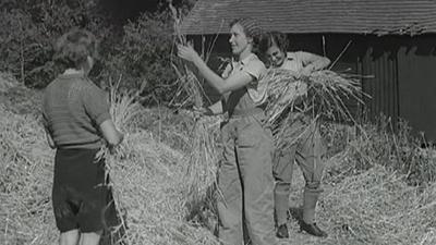 Land Girls working in a field