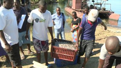 Fishermen in Zimbabwe carrying a crate of fish