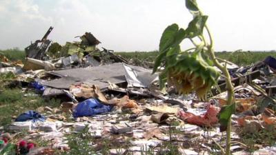Flower grows at MH17 crash site