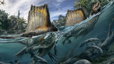 Artist's impression of Spinosaurus