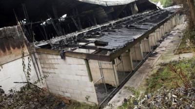 Burned-out kennels at Manchester Dogs' Home