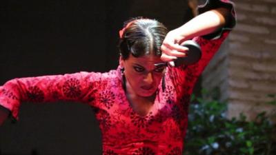 Flamenco dancer