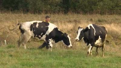 Dairy farmer