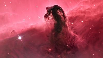 Horsehead Nebula (Bill Snyder)