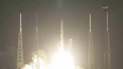 SpaceX cargo ship lifts off
