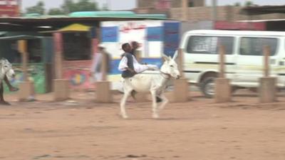 Boy on a donkey