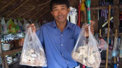 Than Wai Aung, a Burmese migrant worker, battled all odds to set up his own mushroom cultivation business