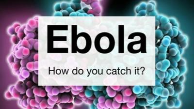 Ebola graphic