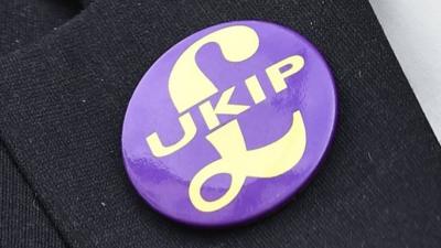 UKIP badge