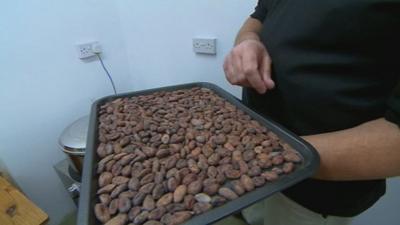 'Bean to Bar' Chocolate made in Cheltenham garage