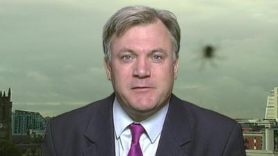 Ed Balls and the spider