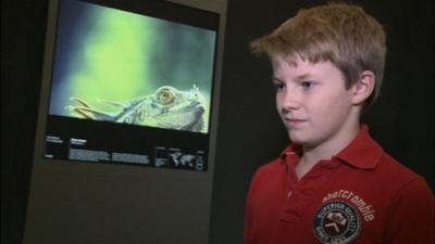 Young wildlife photographer