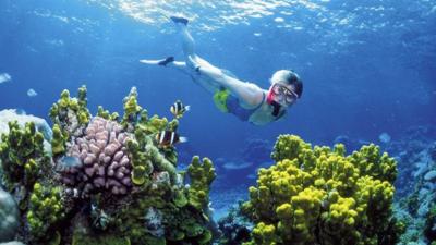 Woman diving n the Great Barrier reef