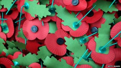 Poppy pins