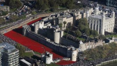 Poppies at the Tower of London