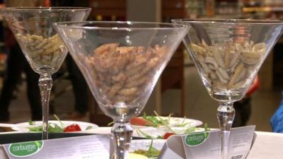 Edible insects in glasses