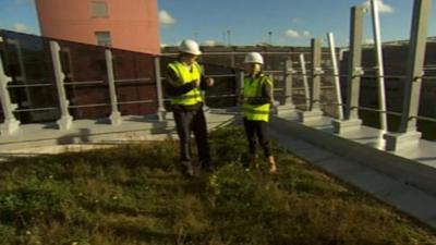 Urban green roof at the University of Manchester's National Graphene Insitute