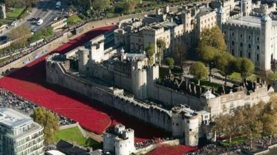 The installation has drawn huge crowds to the Tower of London