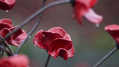 Ceramic poppies