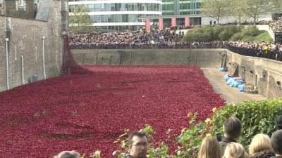 Poppies at Tower of London