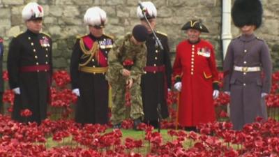 The final poppy being planted