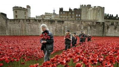 Poppies are collected from the Tower of London