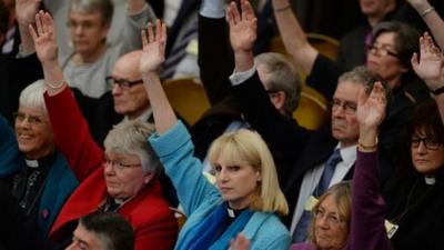 Show of hands in the Anglican General Synod